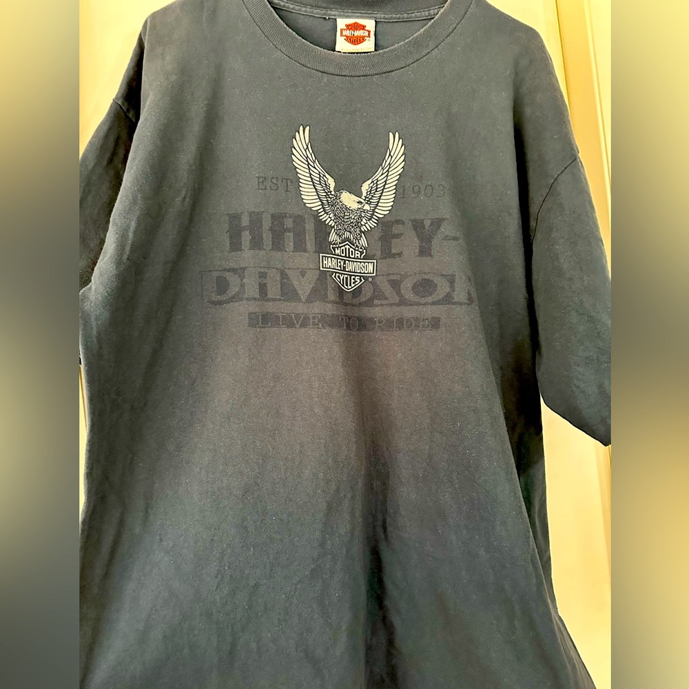 Men’s Harley-Davidson X-Large Blue Cotton T-Shirt - Mile High